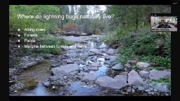 Urban Forestry Advisory Board 8.6.2025